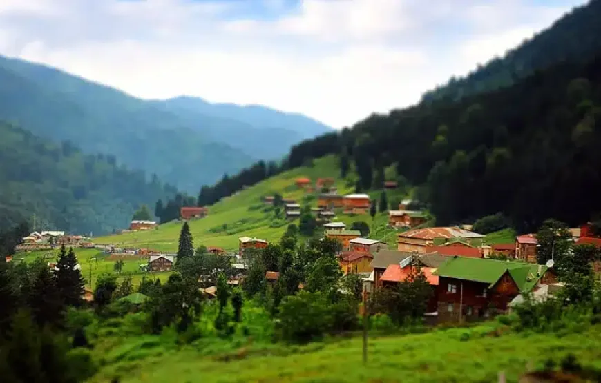 Karadeniz Batum Turları
15 Ağustos 2026
29990 ₺