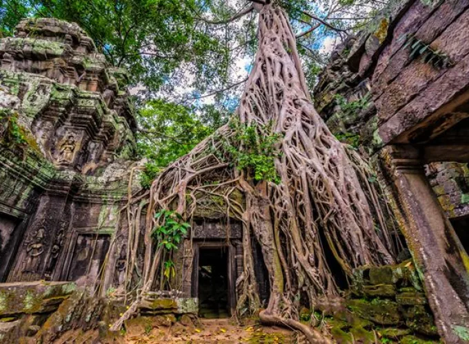 Premium vietnam kamboçya turu
14 kasım 2026
3690 €