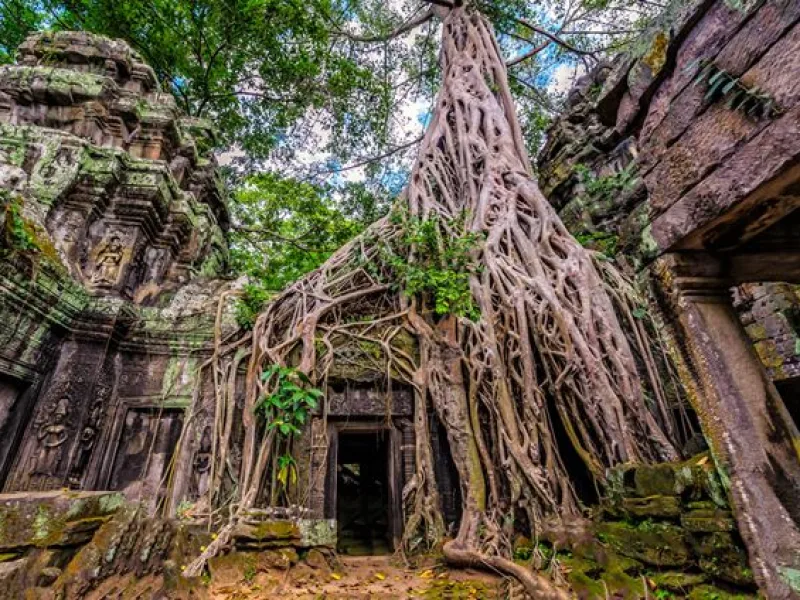 Premium Vietnam Kamboçya Turu
14 Kasım 2026
3690 €