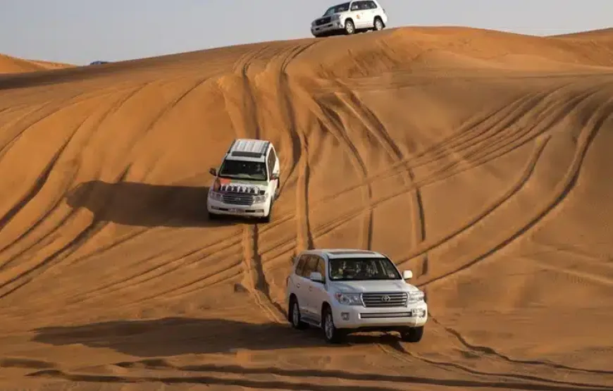 Dubai & Abu Dhabi Turu
08 Kasım 2026
1190 $