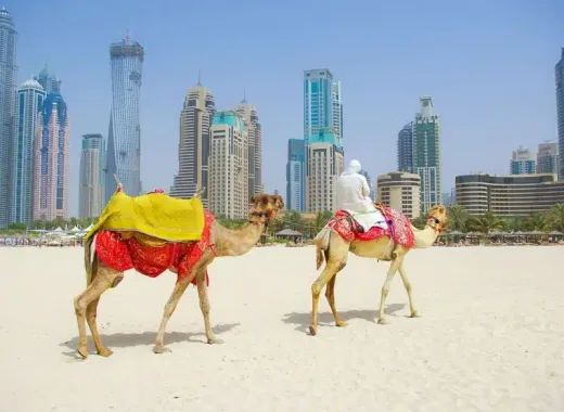 Dubai & Abu Dhabi Turu