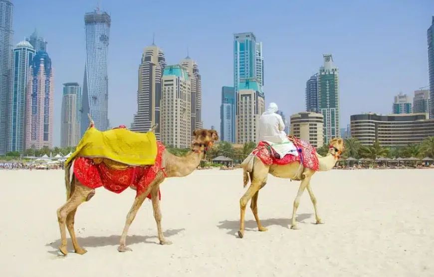 Dubai & Abu Dhabi Turu
08 Kasım 2026
1190 $